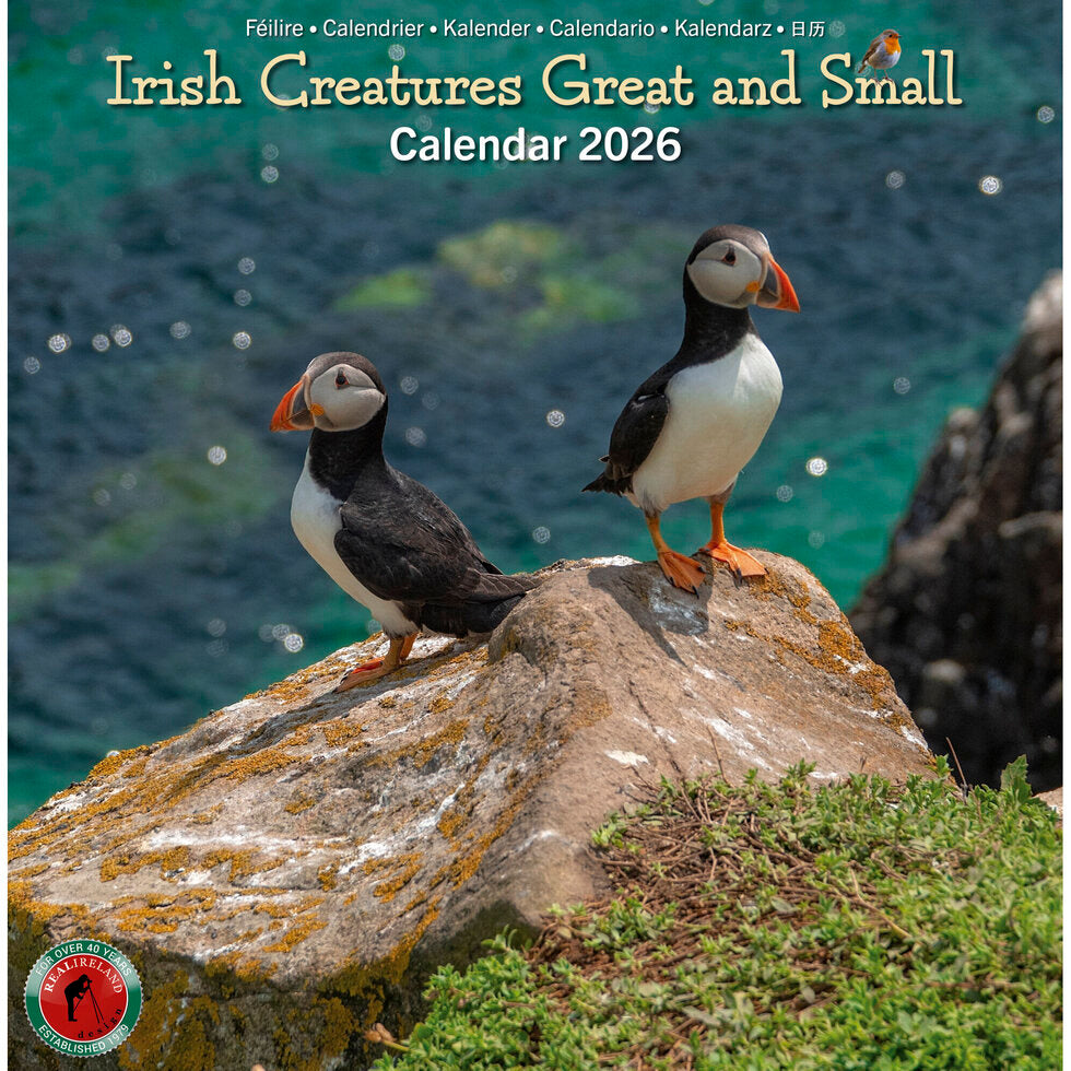 irish Creatures Great and Small Calendar 2026