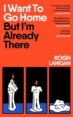 I Want To Go Home But I'm Already There by Roisin Lanigan