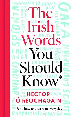 The Irish Words You Should Know