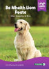 Léigh Liom - Level 8 - Purple - Pack of 5 Books