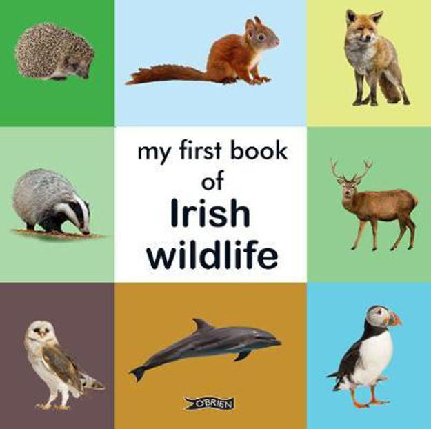 My First Book of Irish Animals