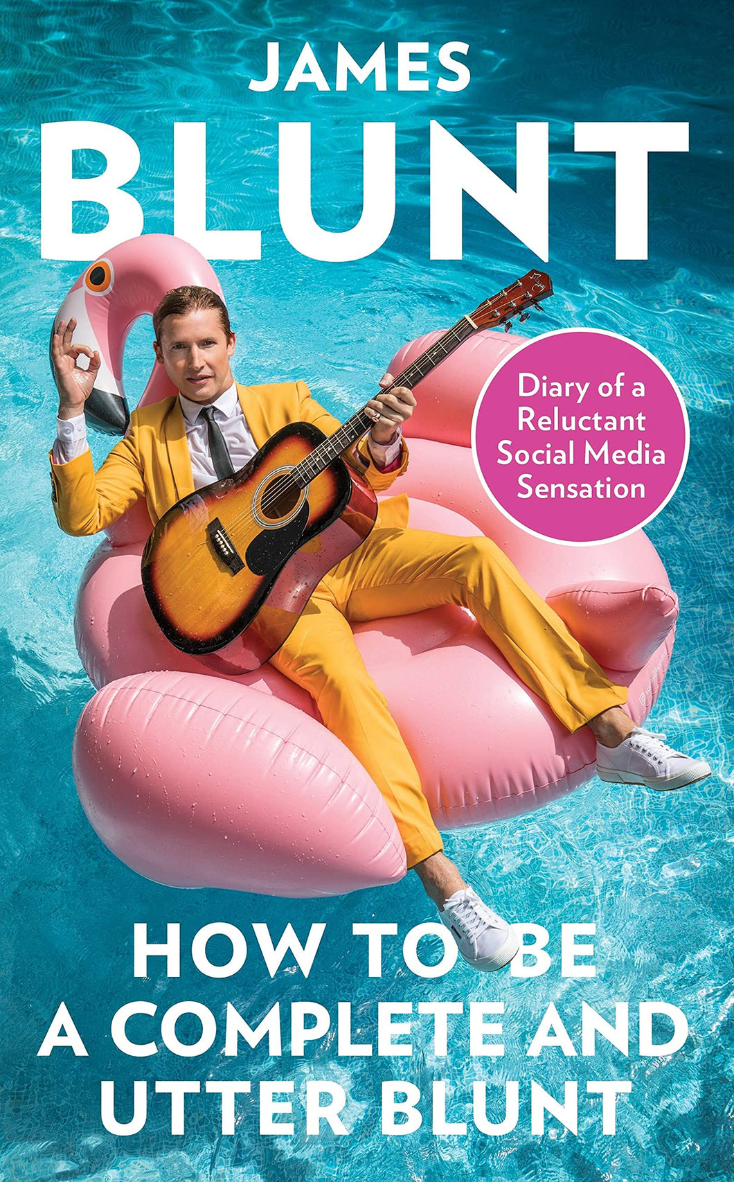 How To Be A Complete and Utter Blunt: Diary of a Reluctant Social Media Sensation