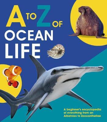 A to Z of Ocean Life