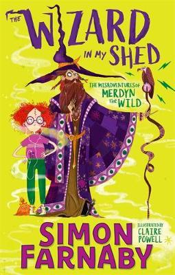 The Wizard In My Shed: The Misadventures of Merdyn the Wild