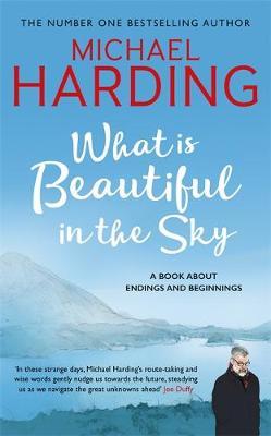 What is Beautiful in the Sky: A book about endings and beginnings