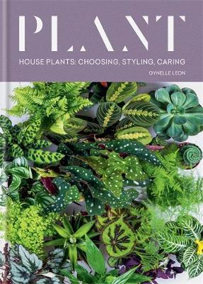 Plant: House plants: choosing, styling, caring