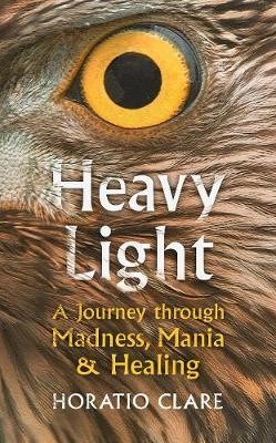 Heavy Light: A Journey Through Madness, Mania and Healing