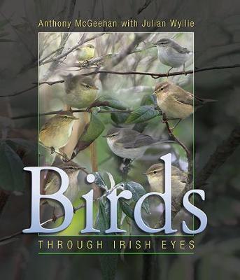 Birds: Through Irish Eyes