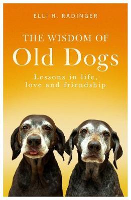 The Wisdom of Old Dogs: Lessons in life, love and friendship