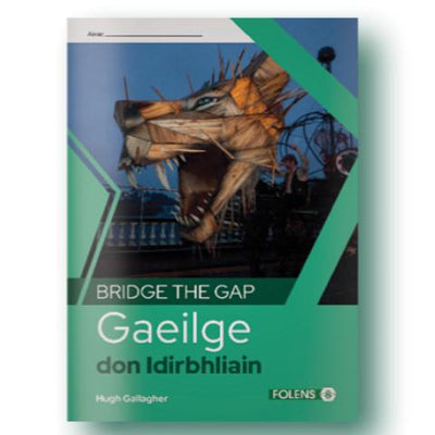 Bridge The Gap - Gaeilge Don Idirbhliain