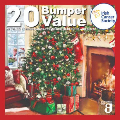 Charity Christmas Cards - 20 Bumper Value
