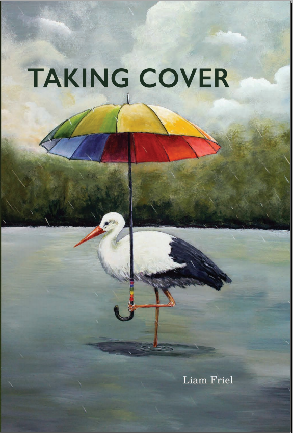 Taking Cover - Liam Friel